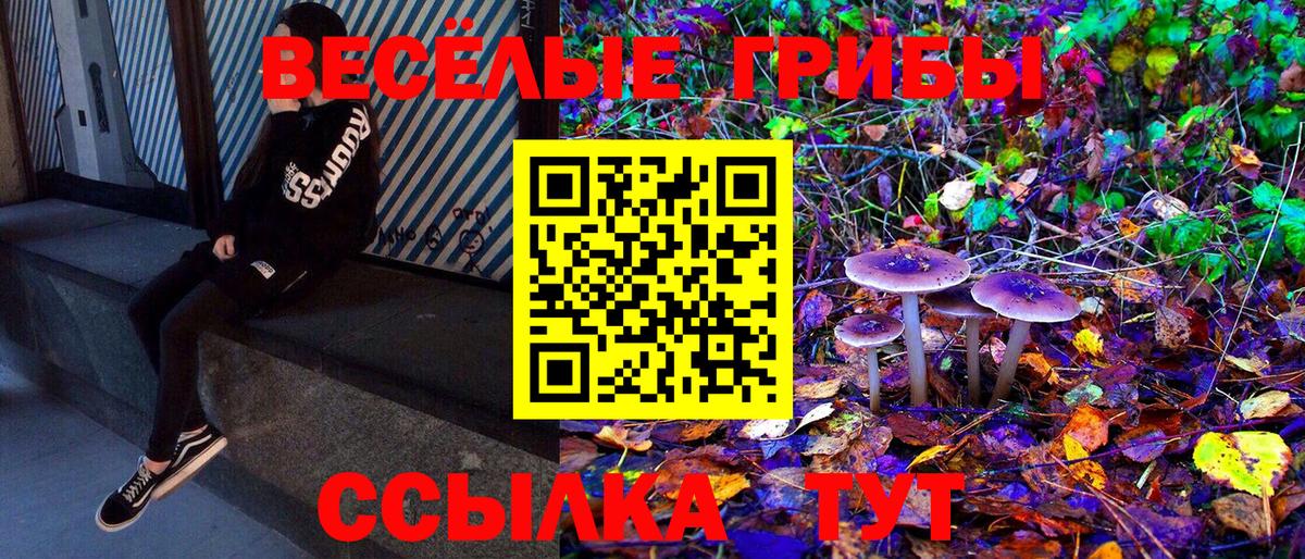 Псилоцибиновые грибы прущие грибы  купить  сайты  Пугачёв  Вход с VPN 