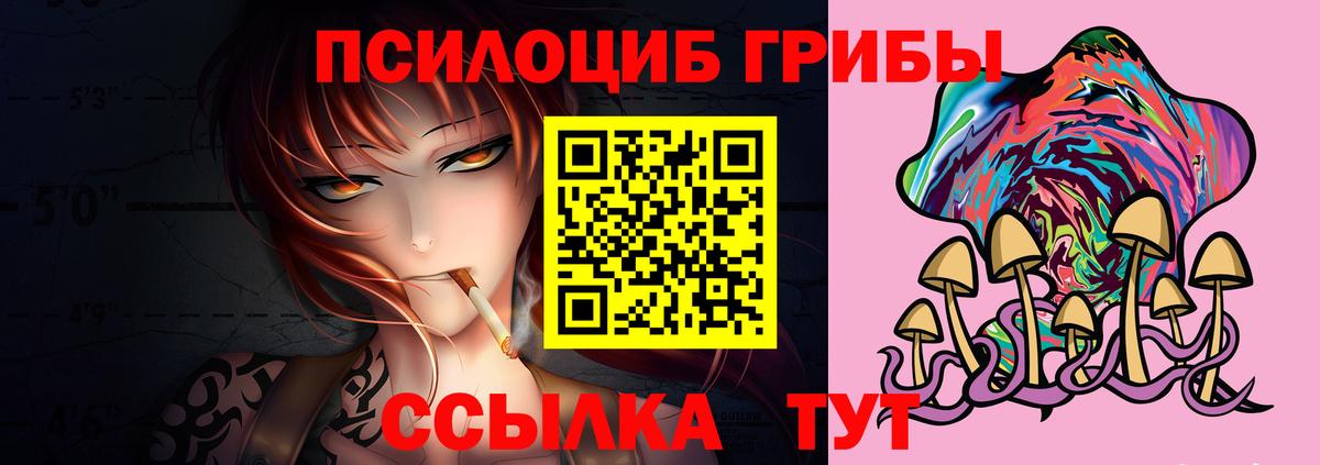 Псилоцибиновые грибы Psilocybe Пугачёв